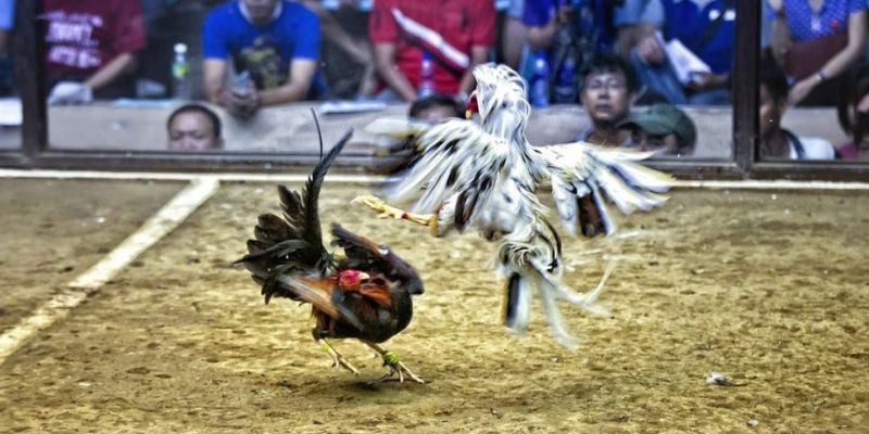 789win01 ﻿đăng nhập lô đề uy tín