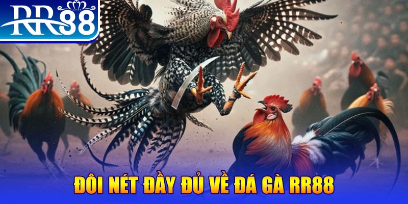 789win01 gà chọi hoà phong