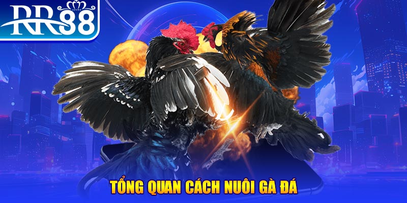 789win01 xổ số thứ ba