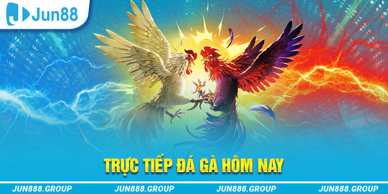 789win01 trực tiếp đá gà thomo