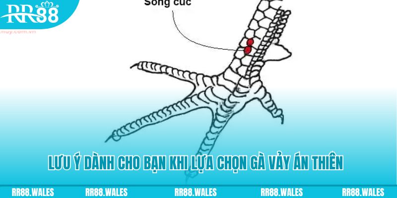 789win01 xổ số khánh hòa