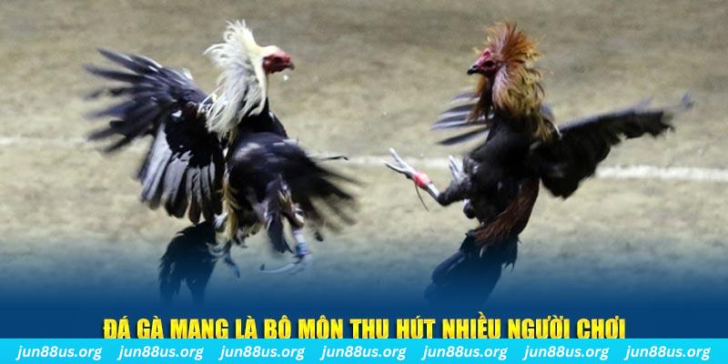 789win01 xổ số long an