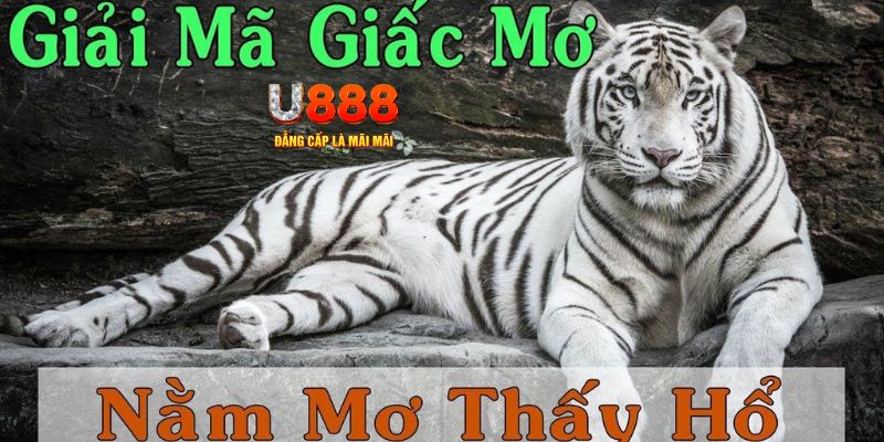 789win01 Bài Poker Joker