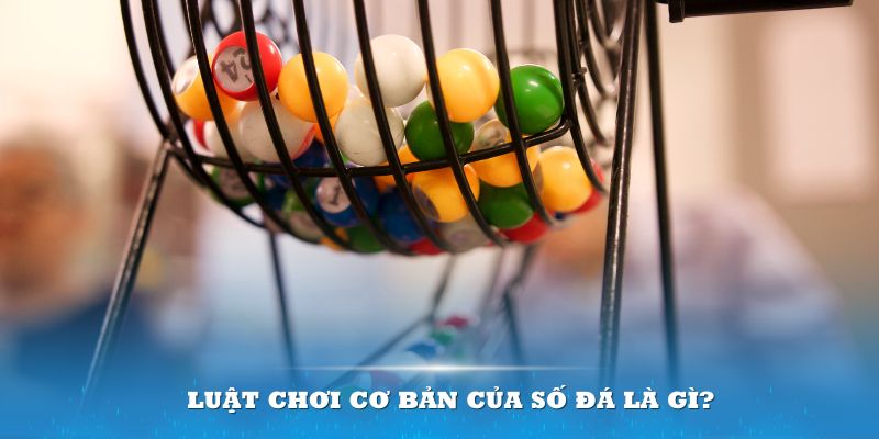 789win01 Đĩa màu ace