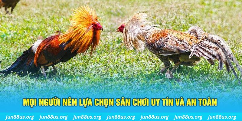 789win01 Tài Xỉu