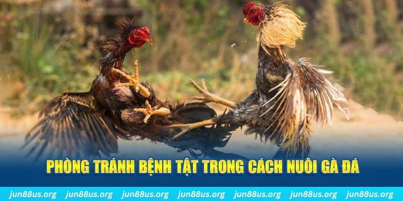 789win01 natural” trong baccarat nghĩa là gì？