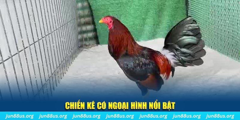 789win01 nhạc slot là gì