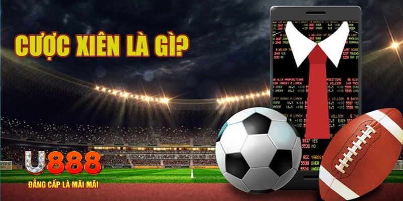 789win01 đá gà thomo hôm nay